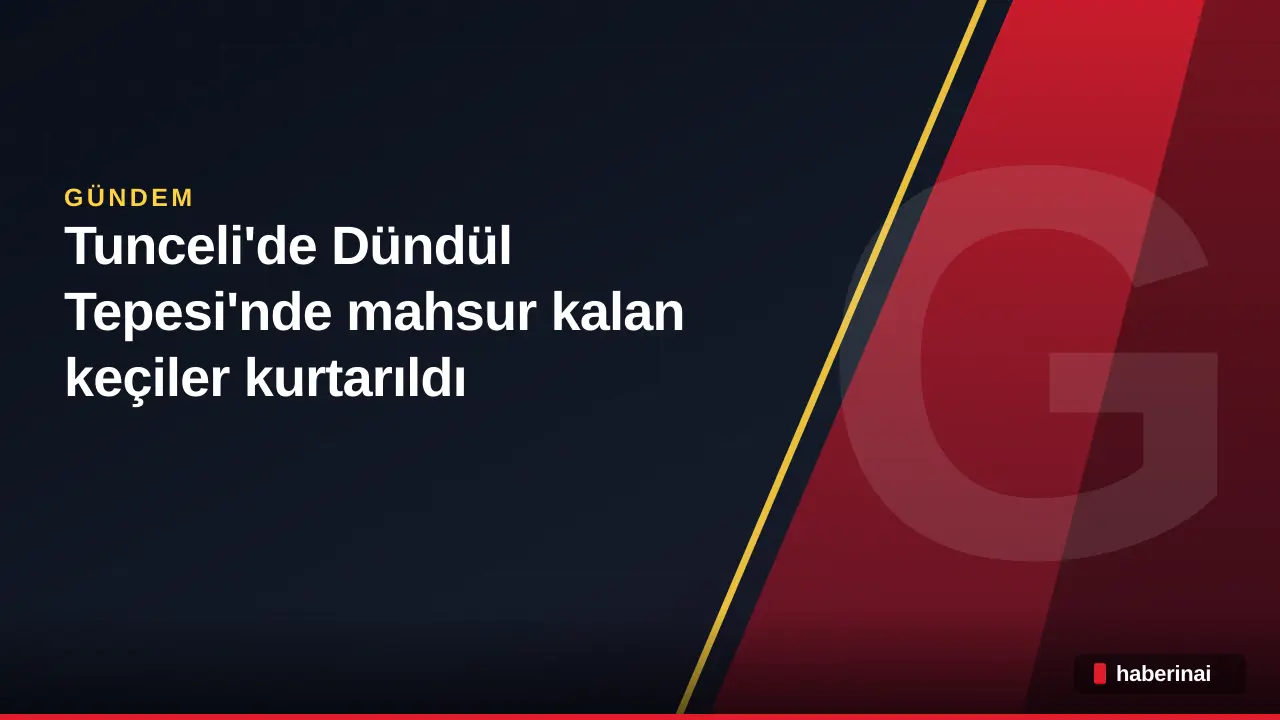 Tunceli'de Dündül Tepesi'nde mahsur kalan keçiler kurtarıldı