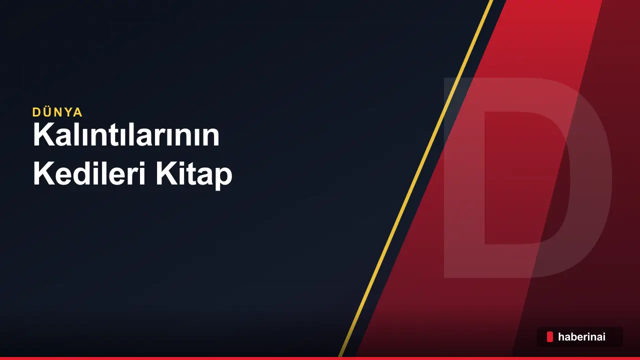 Pompei Kalıntılarının Kedileri Kitap Oldu